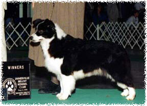 Ch Korella Weave A Spell