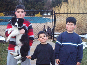 Sam: Rising Star's Sam of Cuchogue