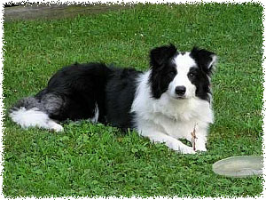 Tucson: Rising Star's Beams of a Neon Moon