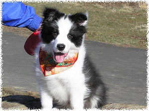Tucson: Rising Star's Beams of a Neon Moon